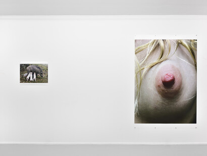 Leg, snails and peaches. Courtesy of Suzanne Tarasieve