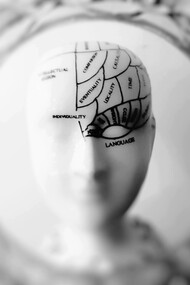 A infância é o período em que se constroem as bases emocionais e sociais de cada indivíduo. As memórias afetivas criadas nessa fase reforçam nossa identidade, elevam a autoestima e influenciam como enfrentamos desafios na vida adulta. Por isso, oferecer à criança um ambiente acolhedor e experiências significativas é, na prática, investir em saúde mental e em relacionamentos mais saudáveis ao longo de toda a vida