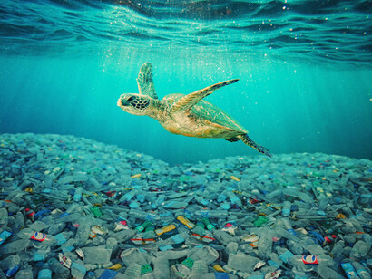 Plastic bottles cover the ocean floor