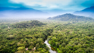 Vista aérea de la Amazonia brasileña