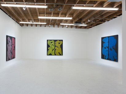 Monique Prieto, Exhibition view. Courtesy of Chimento Contemporary