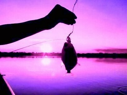 Fisherman