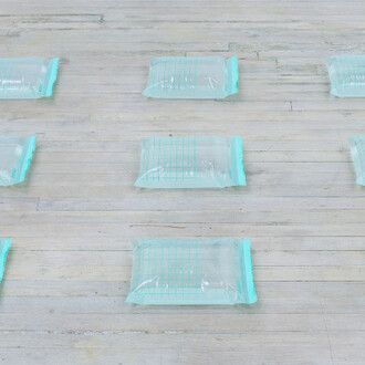 Vanessa Gully-Santiago & Cindy Hinant. Courtesy of 315 Gallery