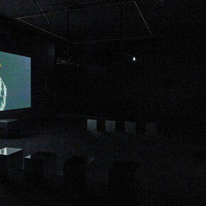 Ho Tzu Nyen, Time and the tiger, exhibition view. Courtesy of Mudam