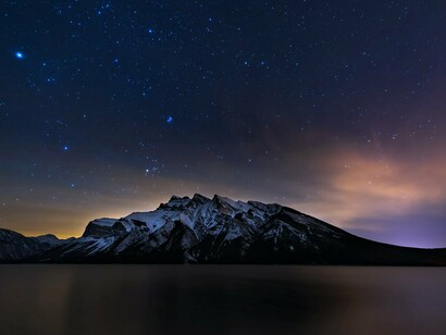 The immense beauty of life