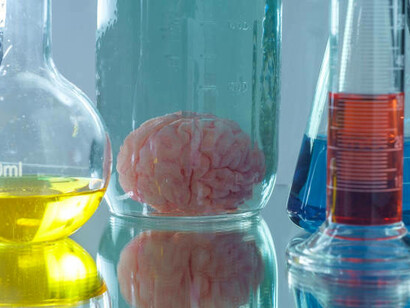 "From preserved minds to engineered thought—this brain in a jar evokes the evolution from anatomy to synthetic cognition