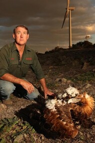 Farmer with dead eagle after wind turbine injury, near Waterloo Wind Farm, Australia © Vanessa Hunter 