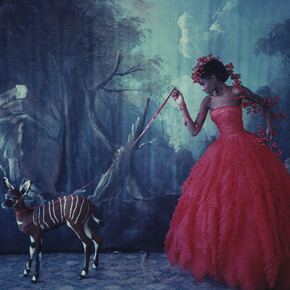 Cathleen Naundorf (German, b. 1968): L'arche de Noè  XVIII, Dior - Haute Couture Summer
2012, 2012
Chromogenic print from original polaroid, 24 x
20 inches (60 x 50 cm).
© Cathleen Naundorf / Courtesy Edwynn Houk
Gallery, New York & Zürich