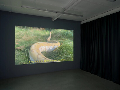 Sheida Soleimani, Flyways, exhibition view. Courtesy of Harlan Levey Projects
