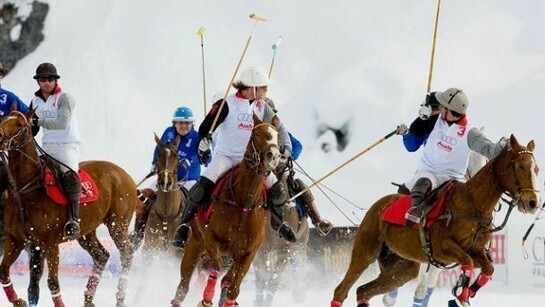 Cortina Winter Polo Audi Gold Cup