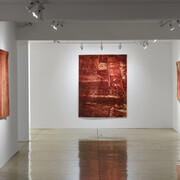 Marcos Chaves, Sangue azul, vista da exposição. Cortesia da Galeria Nara Roesler