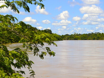 Río Arauca