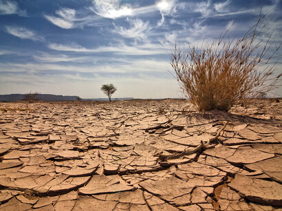 Desertification