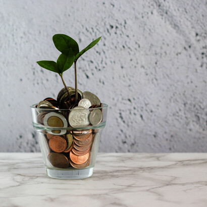 Life, sprouting from coins