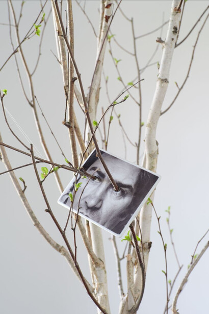 Giuseppe Penone – Vegetal Gaze (1995). Detail of a face mask interwoven with living laurel branches—highlighting the tactile merging of human and plant matter