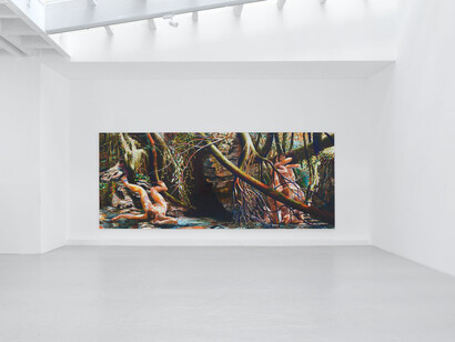 Laurent Proux, The nature poem, vue d'exposition. Avec l'aimable autorisation de la galerie Semiose
