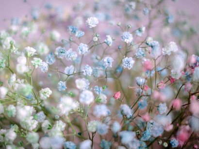 En la ternura se manifiestan las íntimas relaciones que existen entre pensamiento y sentimiento, mente y afecto, cerebro y corazón