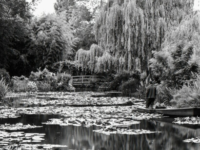 Monet's Water Garden, Shadow and Light. Courtesy of Soho Photo Gallery