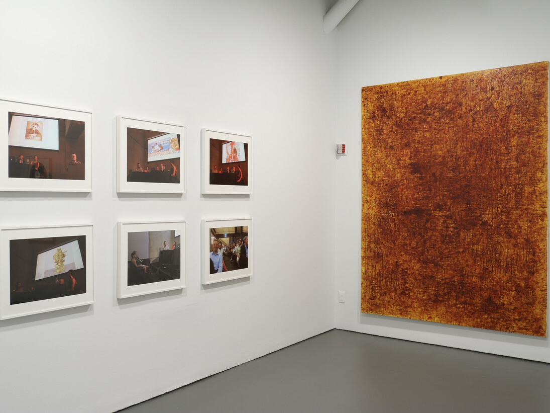 “Looking Back” - The 10th White Columns Annual Selected by Matthew Higgs