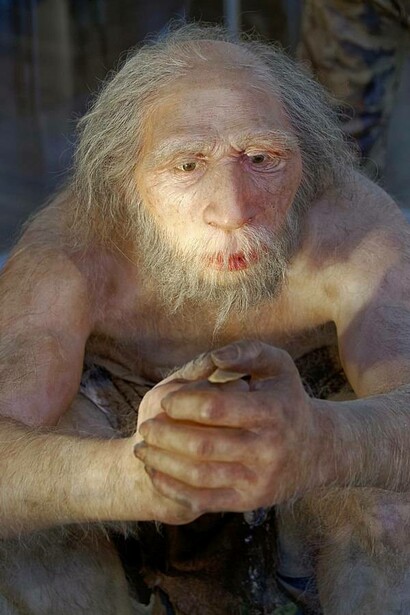 Ricostruzione di uomo anziano di Homo neanderthalensis al Museo di Storia Naturale di Vienna, Austria