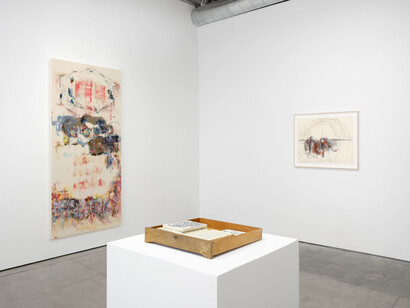 Uri Aran, House, exhibition view. Courtesy of Matthew Brown Gallery