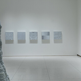 Tara Donovan. Courtesy of Smart Museum of Art