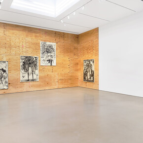 Hiroki Tsukuda, The days of humans, exhibition view. Courtesy of Petzel Gallery