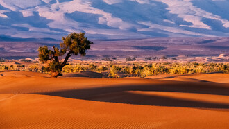 The economic cooperation between Poland and Morocco seems to have a most promising future given their multiple assets 