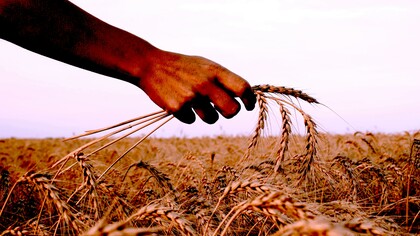 O legado da abundância