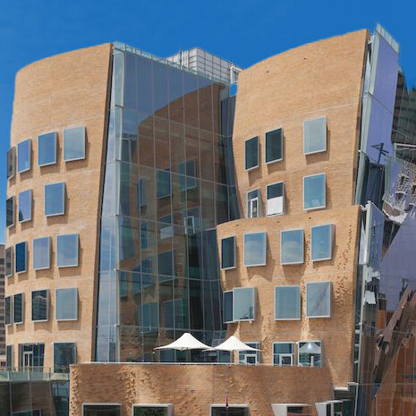 Dr Chau Chak Wing: the dancing brick facade delights passers-by