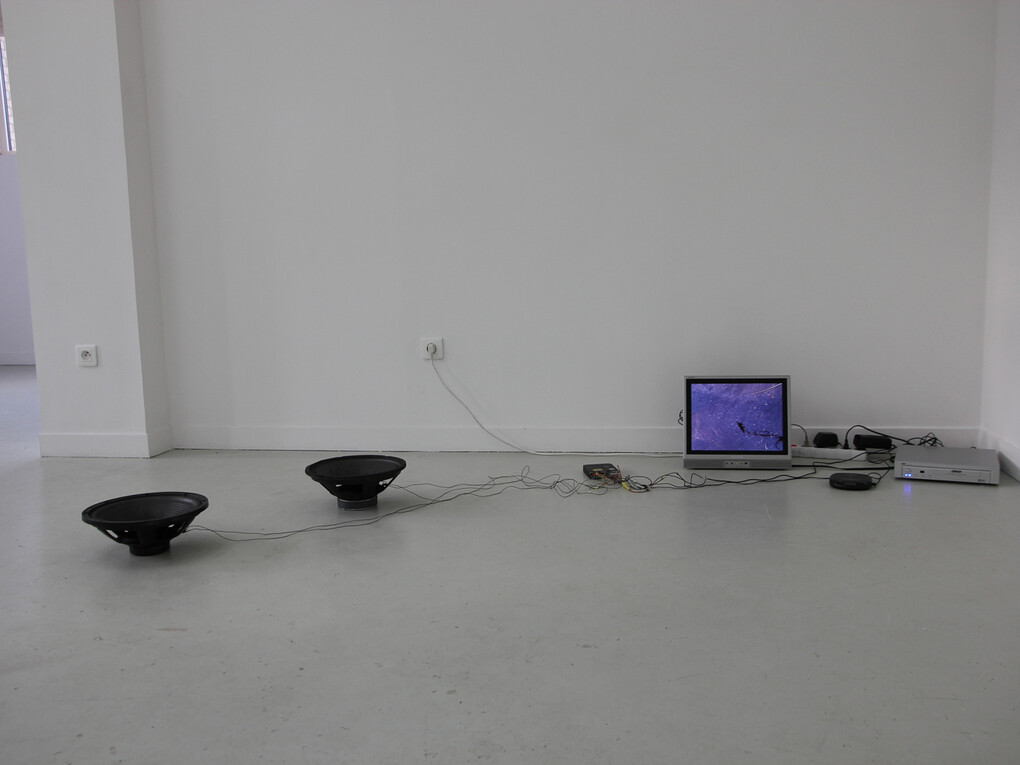 Two Large Blacks, 2005, 2 haut-parleurs, graphite, lecteur CD, amplificateur, lecteur DVD, dimensions variables, 2 loudspeakers, graphite, CD-player, amplifier, DVD-player, monitor, variable size