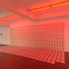 Luc Schuhmacher. Courtesy of Backslash Gallery