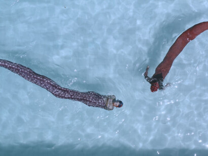 Emilija Škarnulytė, Riparia. Courtesy of Tate St Ives 