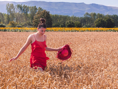 Desde uno de los bordes del sembradío, una niña con vestido largo corría hacia él dando gritos al aire y esquivando las piedras y las ondulaciones del terreno