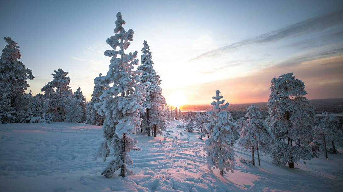 D'inverno l’energia è rivolta verso l’interno, siamo avvolti in noi stessi
