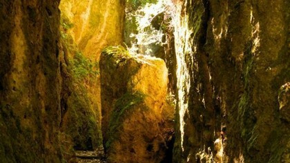 Monterano's environment has some kind of magic