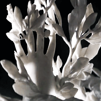 Gian Lorenzo Bernini, Apollo e Dafne, particolare