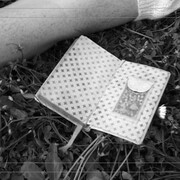 Le Vergini studio no. 2, video loop, b/n, Corpicrudi, 2011 - courtesy Guidi&Schoen