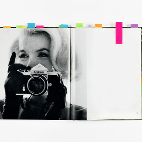 Anne Collier, Woman With A Camera (The Last Sitting, Bert Stern), 2009. Collection of Martin and Rebecca Eisenberg. Image courtesy the artist and Anton Kern Gallery, New York. 