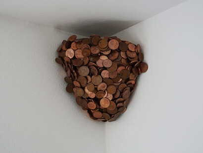 Antonio Guiotto, Gnaro de schei