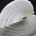 !Hola Caracola! Courtesy of Casa de la Ciencia