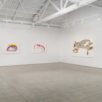 Jorinde Voigt, Works on paper, exhibition view. Courtesy of Marc Selwyn Fine Art