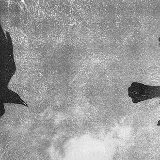 © Ayline Olukman, Our wild lives III. Two birds (detail), 2025. Courtesy of Tobe Gallery