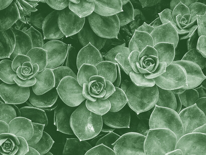 Different influences are salient at different moments