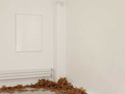 Propos d’Europe 14. Thoughts that breathe. Vue d’exposition. Fondation Hippocrène. 6 octobre - 18 décembre 2015. Photo : Aurélie Cenno. Courtesy Fondation Hippocrène
