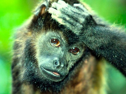 ¿Qué nos está pasando? 