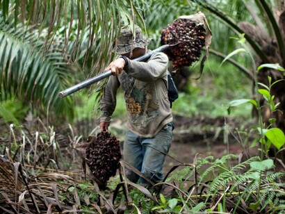 Trabajador indonesio