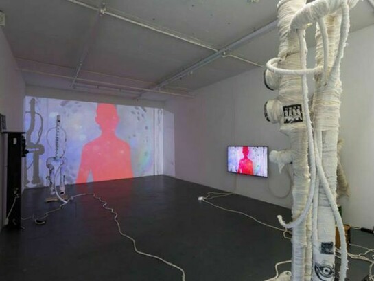 Installation view, Renaud Jerez, Greed