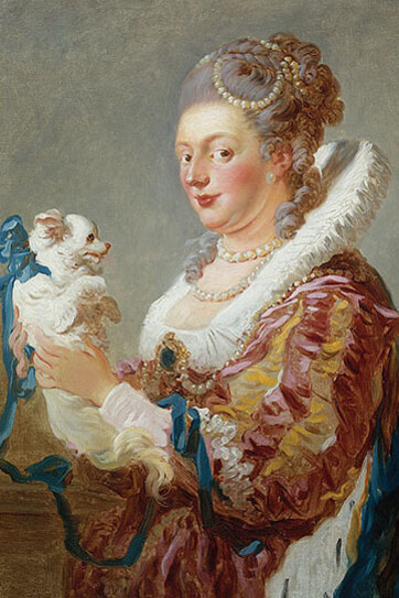Jean Honoré Fragonard, Woman with a Dog, c. 1769, oil on canvas, Lent by The Metropolitan Museum of Art, Fletcher Fund, 1937  