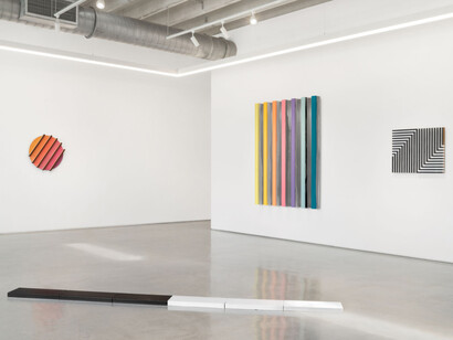 Ricardo Alcaide, Brightest light, exhibition view. Courtesy of Mindy Solomon Gallery